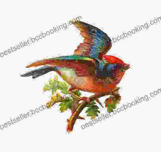 A Beautiful Illustration Of A Tiny Bird Perched On A Branch, Its Wings Outstretched As It Gazes Up At The Sky. The Cover Is Adorned With Intricate Floral Designs And Vibrant Colors. Once Upon A Time There Was A Little Bird