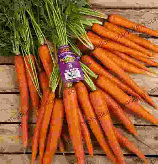 A Bunch Of Carrots Fight Breast Cancer With Food: Top 30 Foods For Breast Cancer Kidney Diseases Cancer Diabetes Heart Diseases Alzheimer S Asthma Arthritis COPD Fibrosis (Top 10 Foods To Fight Diseases)