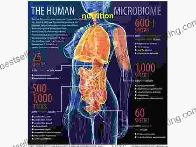 A Close Up Image Of A Human Microbiome, Showcasing The Diverse And Intricate Community Of Microbes That Inhabit Our Bodies Deadly Companions: How Microbes Shaped Our History (Oxford Landmark Science)