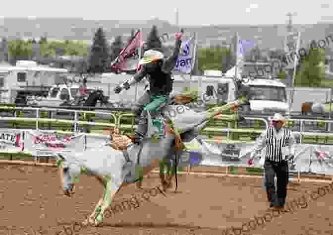 A Cowboy Riding A Bucking Bronco In A Rodeo Arena Rodeo Encyclopedia: Rodeo History Facts And Guide For Beginners