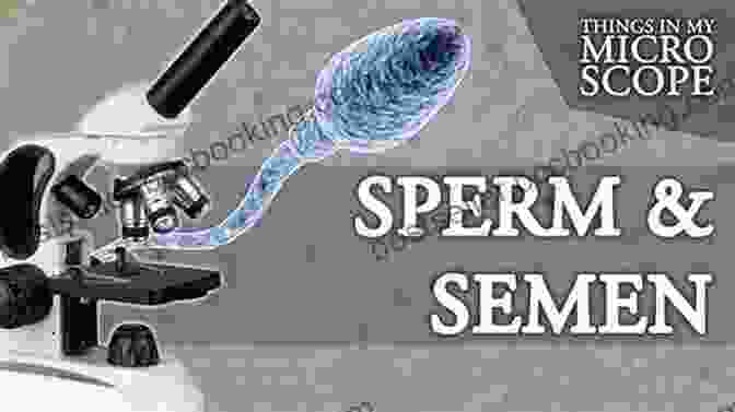 A Doctor Examining Sperm Under A Microscope The Male: Pearls Of Hope In Male Infertility