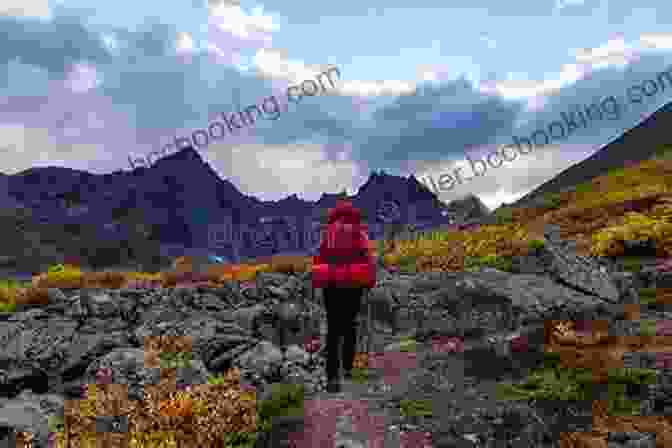 A Hiker Ascends A Rugged Mountain Trail In Alaska, Surrounded By Majestic Peaks And Panoramic Views. The Wild Side Of Alaska