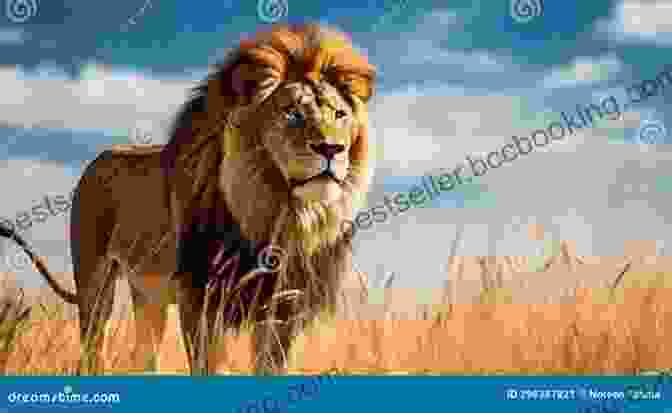 A Majestic Lion Standing Proudly On The African Savanna, With Its Piercing Gaze And Flowing Mane An Anthology Of Intriguing Animals