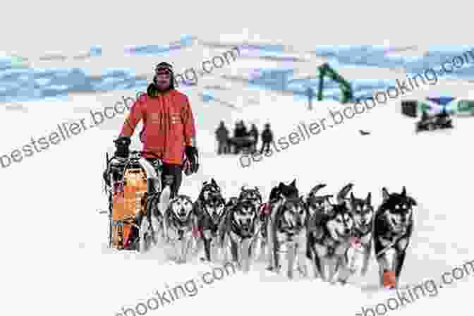 A Musher And Her Sled Dogs On The Iditarod Trail Back Of The Pack: An Iditarod Rookie Musher S Alaska Pilgrimage To Nome