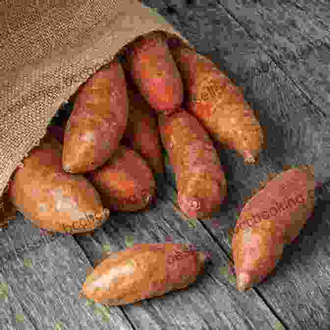 A Pile Of Sweet Potatoes Fight Breast Cancer With Food: Top 30 Foods For Breast Cancer Kidney Diseases Cancer Diabetes Heart Diseases Alzheimer S Asthma Arthritis COPD Fibrosis (Top 10 Foods To Fight Diseases)