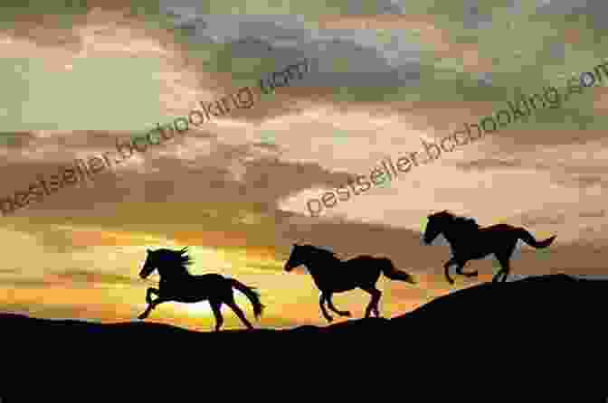 A Rider Gracefully Galloping On A Majestic Horse Against A Breathtaking Sunset Backdrop. ON TOP OF THE HORSE
