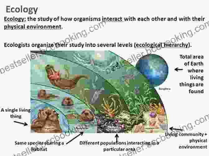 A Vibrant Depiction Of An Ecosystem, Showcasing The Diverse Interactions Between Organisms And Their Surroundings The Biology Book: Big Ideas Simply Explained
