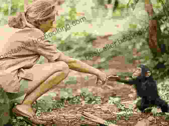A Young Jane Goodall, Surrounded By Animals The Chimpanzee Lady : Jane Goodall Biography For Kids Children S Biography