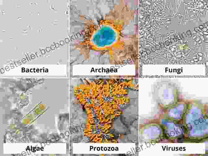 An Electron Microscope Image Of Various Types Of Microbes, Showcasing The Diversity And Complexity Of The Microbial World Deadly Companions: How Microbes Shaped Our History (Oxford Landmark Science)