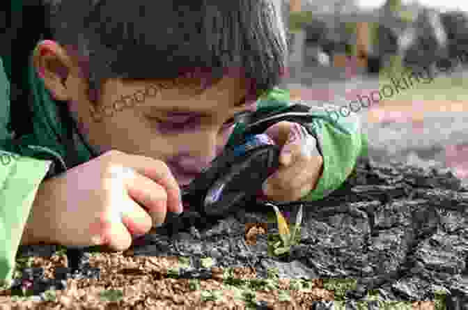 Children Engaged In A Nature Scavenger Hunt, Using Magnifying Glasses To Discover Hidden Wonders In A Forest The Big Of Nature Activities: A Year Round Guide To Outdoor Learning