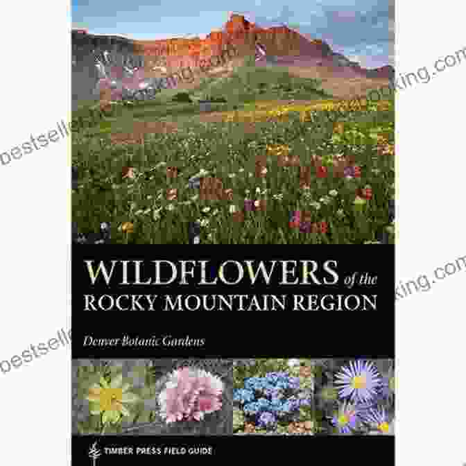 Cover Of 'Wildflowers Of The Rocky Mountain Region Timber Press Field Guide' Wildflowers Of The Rocky Mountain Region (A Timber Press Field Guide)