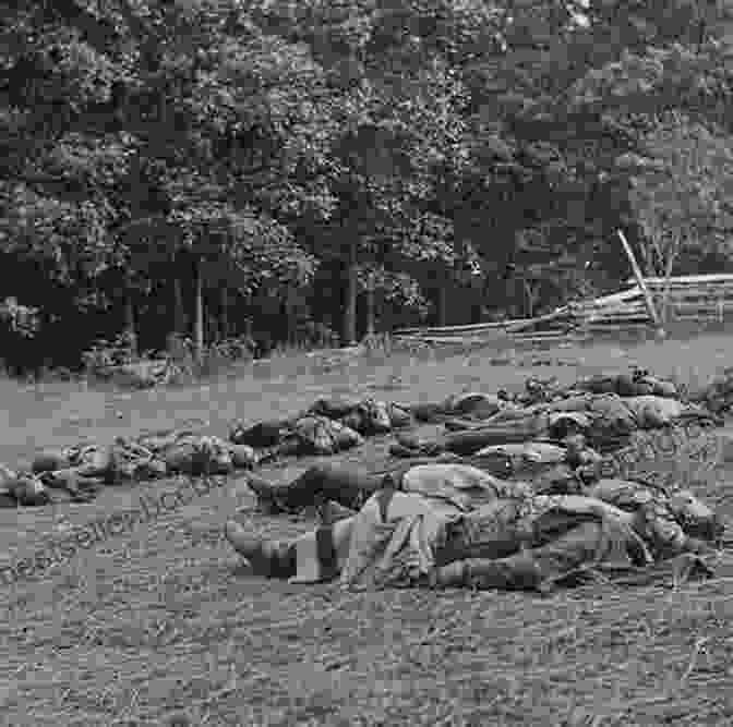 Dead Confederate Soldiers At Gettysburg Civil War Witness: Mathew Brady S Photos Reveal The Horrors Of War (Captured History)