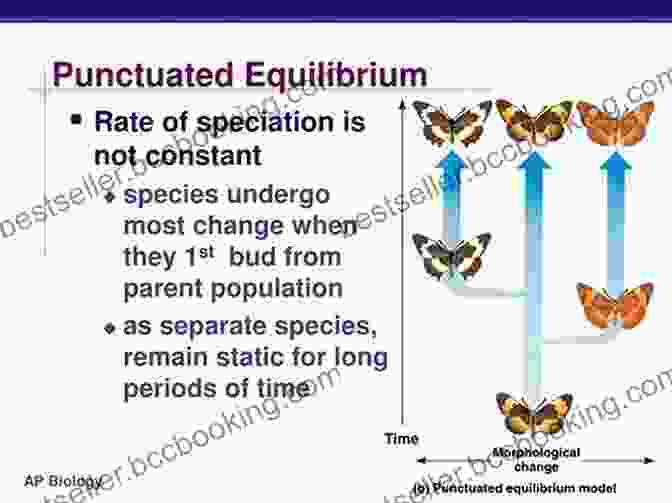 Diagram Of Punctuated Equilibrium The Story Of Evolution In 25 Discoveries: The Evidence And The People Who Found It