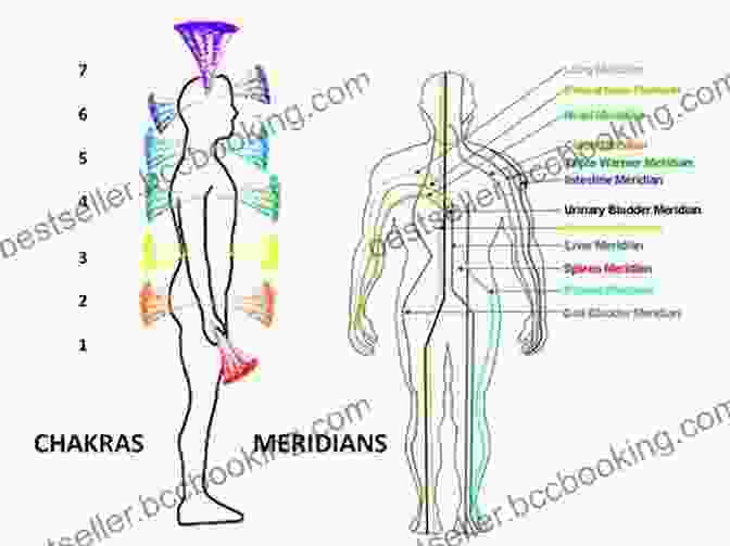 Diagram Of The Chakra System And Meridian System In The Human Body Energy Medicine: Balancing Your Body S Energies For Optimal Health Joy And Vitality Updated And Expanded