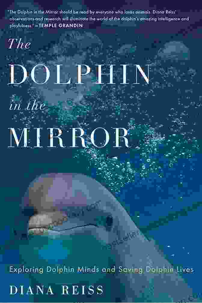 Exploring Dolphin Minds And Saving Dolphin Lives Book Cover The Dolphin In The Mirror: Exploring Dolphin Minds And Saving Dolphin Lives
