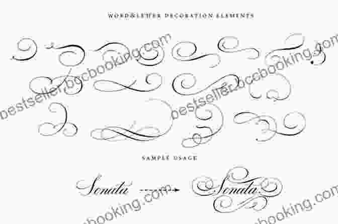 Flourishing Embellishments For Creative Lettering The Art Of Calligraphy Letters: Creative Lettering For Beginners