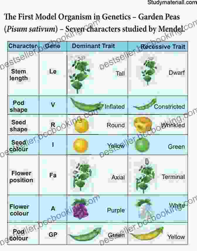 Gregor Mendel's Experimental Pea Plants The Story Of Evolution In 25 Discoveries: The Evidence And The People Who Found It