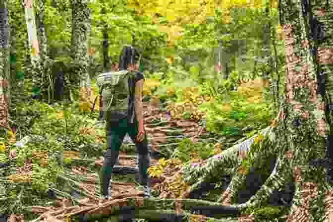 Hiker In A Forest Colorado Bucket List Adventure Guide: Explore 100 Offbeat Destinations You Must Visit