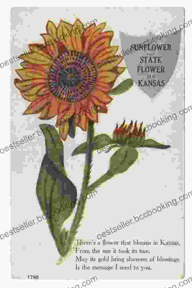 Historic Hays S Is For Sunflower: A Kansas Alphabet (Discover America State By State)