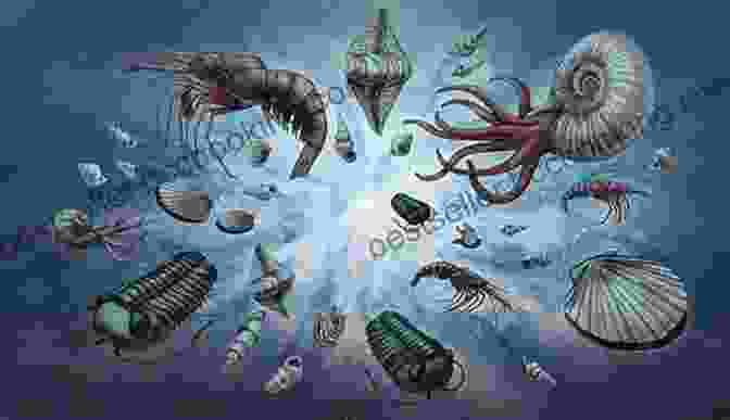 Illustration Of Fossils From The Cambrian Period The Story Of Evolution In 25 Discoveries: The Evidence And The People Who Found It