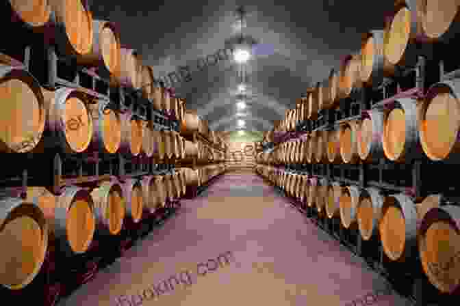 Image Of Port Wine Cellars DK Eyewitness Top 10 Porto (Pocket Travel Guide)