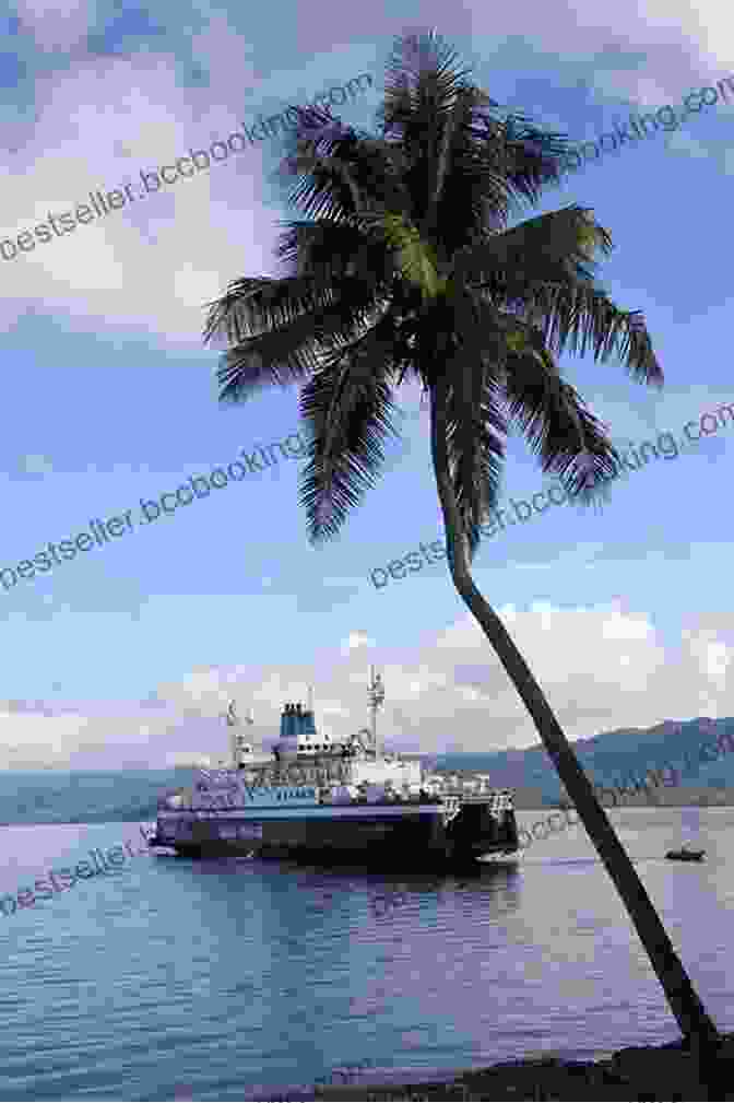 Inter Island Ferry In Fiji Fiji Travel Guide: Tips And Advices About Traveling In Fiji: Everything You Should Know To Travel In Fiji