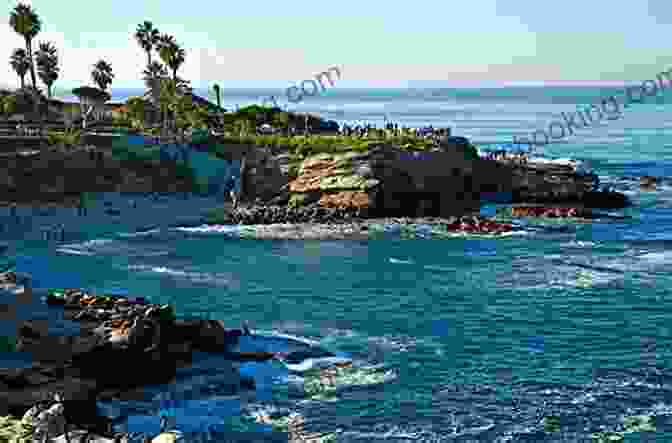 La Jolla Cove's Turquoise Waters And Rugged Cliffs DK Eyewitness Top 10 San Diego (Pocket Travel Guide)