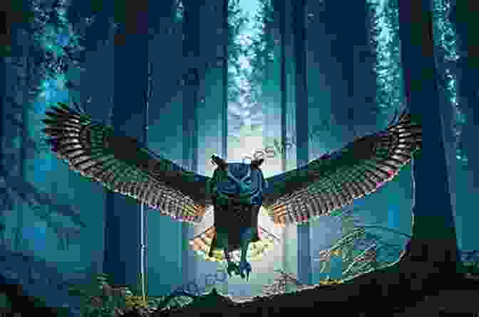 Luna, The Little Owl, Flying Amidst A Moonlit Forest Little Owl S Night Divya Srinivasan