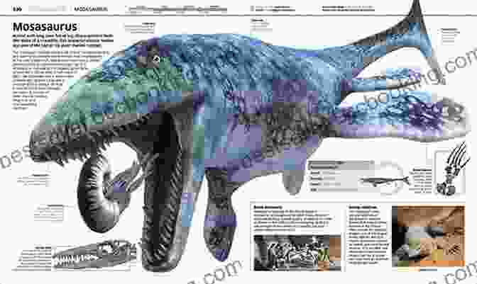 Microraptor Gui Dinosaur : Over 60 Prehistoric Creatures As You Ve Never Seen Them Before (Knowledge Encyclopedias)