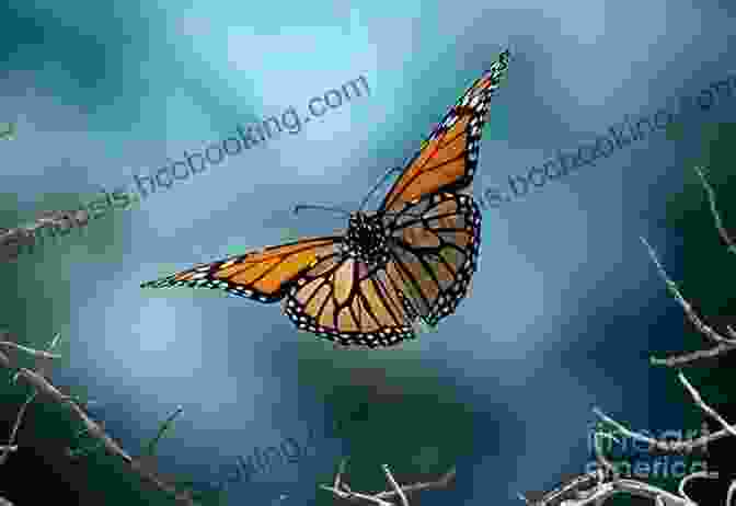 Monarch Butterflies In Flight National Geographic Readers: Great Migrations Butterflies