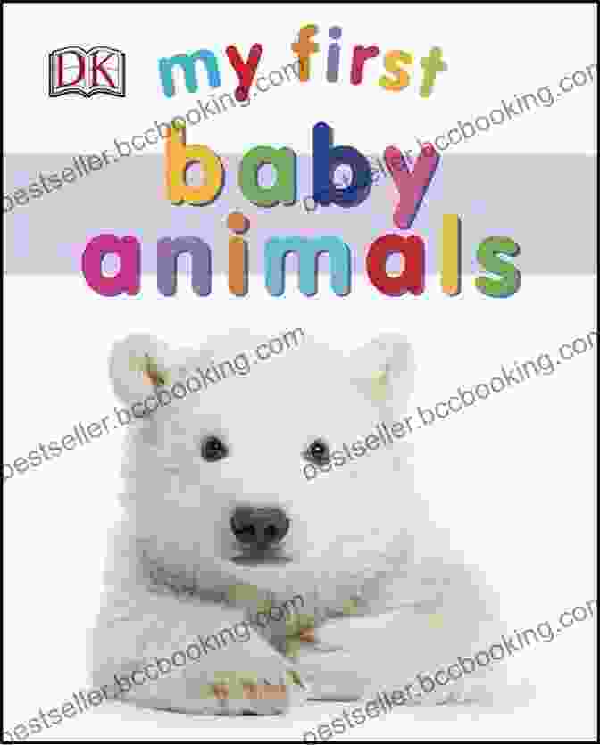 My First Baby Animals DK Book Cover My First Baby Animals DK