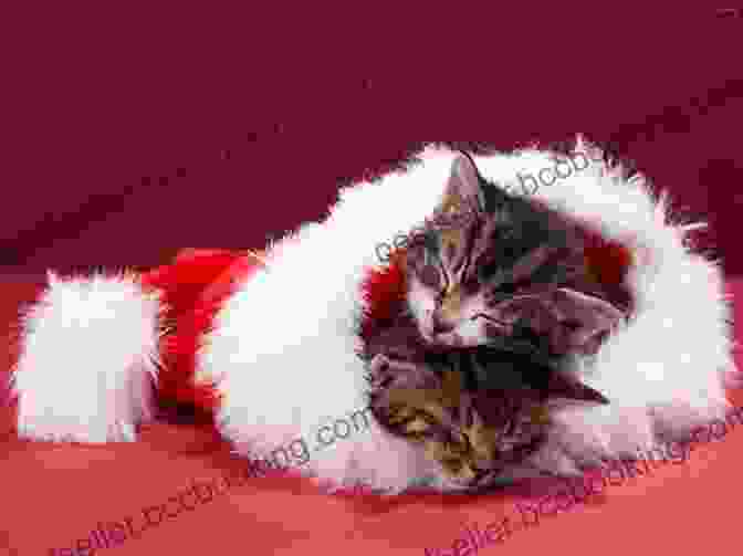 Santa Cat Delivering Gifts To Kittens In A Cozy Home Here Comes Santa Cat Deborah Underwood