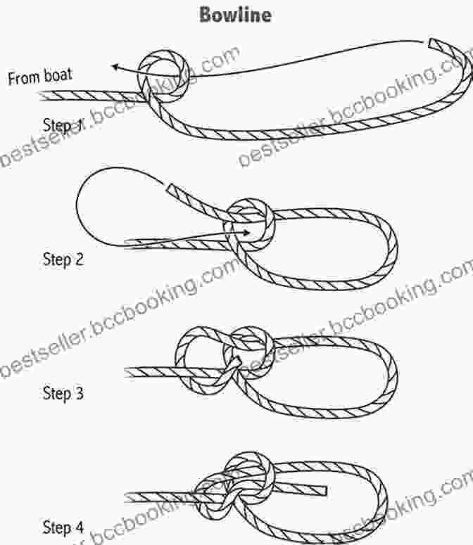 Step By Step Knot Diagrams From Knots : The Complete Visual Guide