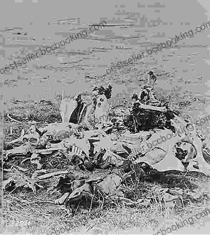 The Remains Of Soldiers And Indians From The Battle Of The Little Bighorn. Archaeological Perspectives On The Battle Of The Little Bighorn