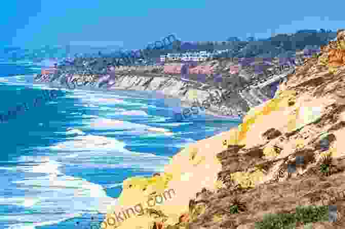 Torrey Pines State Reserve's Rugged Cliffs And Serene Beaches DK Eyewitness Top 10 San Diego (Pocket Travel Guide)