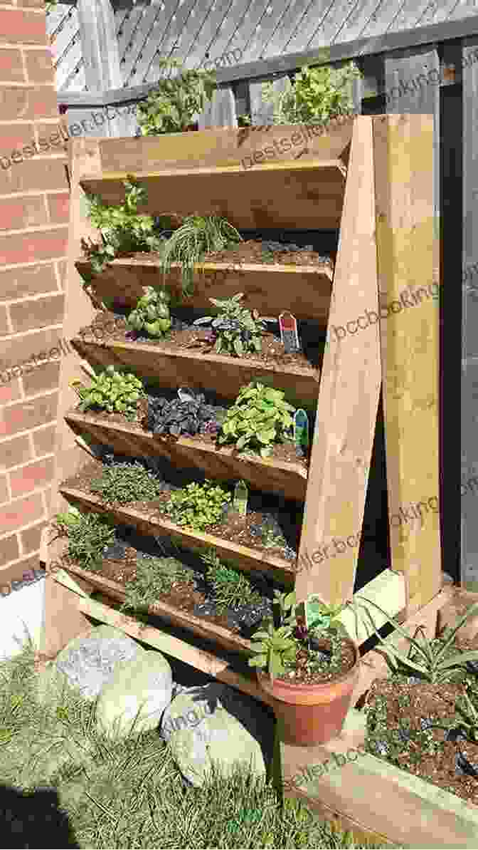 Vibrant And Healthy Vegetables Growing In A Vertical Garden Vertical Gardening: Grow Up Not Out For More Vegetables And Flowers In Much Less Space
