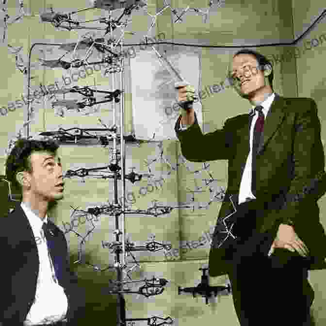 Watson And Crick's Model Of DNA The Story Of Evolution In 25 Discoveries: The Evidence And The People Who Found It