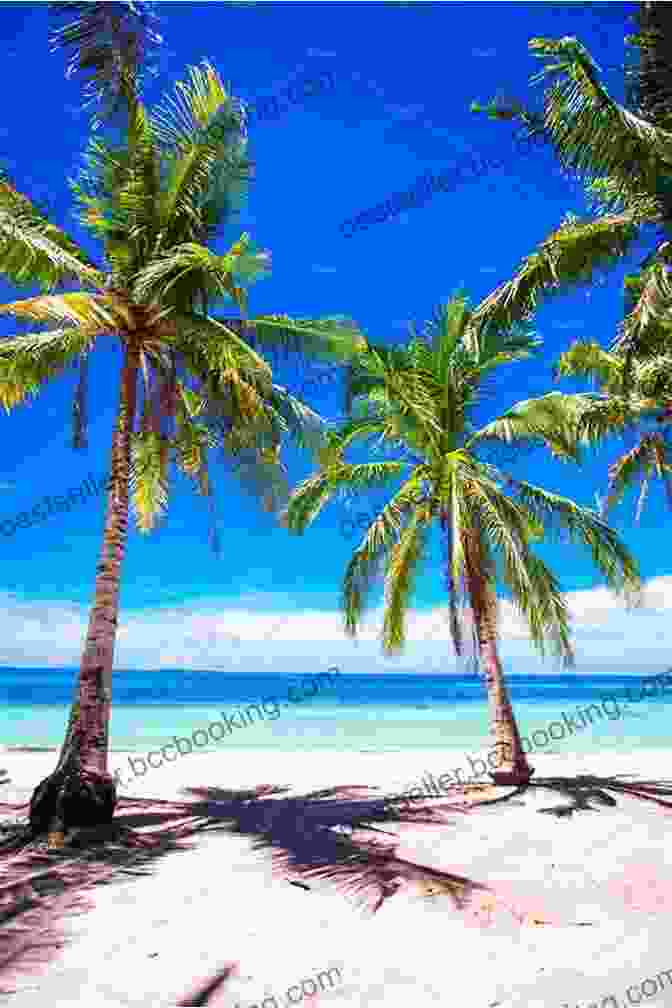 White Sand Beach With Turquoise Waters And Palm Trees In Fiji Fiji Travel Guide: Tips And Advices About Traveling In Fiji: Everything You Should Know To Travel In Fiji