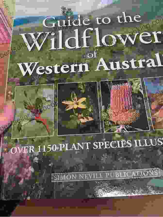 Wildflowers Of Western Australia Drmw Book Cover WILDFLOWERS Of WESTERN AUSTRALIA DRMW