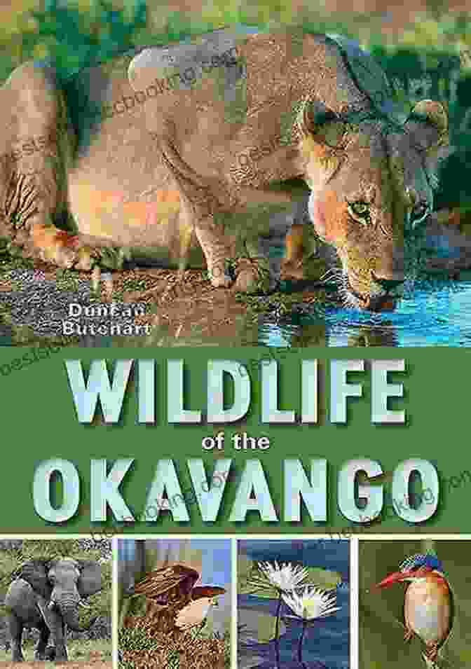 Wildlife Of The Okavango Book Cover Wildlife Of The Okavango Duncan Butchart
