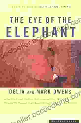 The Eye Of The Elephant: An Epic Adventure In The African Wilderness
