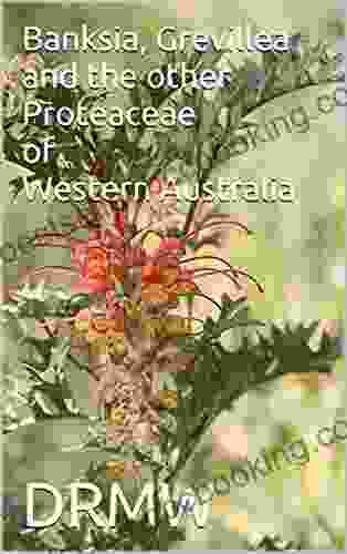 Banksia Grevillea And The Other Proteaceae Of Western Australia