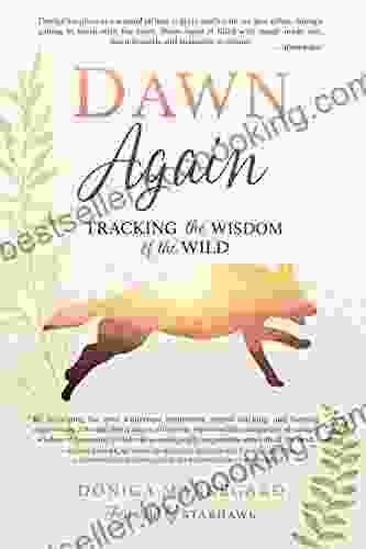 Dawn Again: Tracking The Wisdom Of The Wild