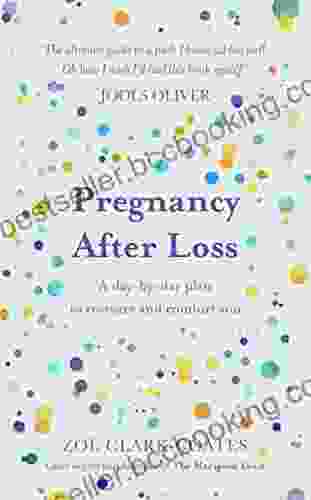 Pregnancy After Loss: A Day By Day Plan To Reassure And Comfort You