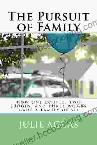 The Pursuit Of Family: How One Couple Two Judges And Three Wombs Made A Family Of Six