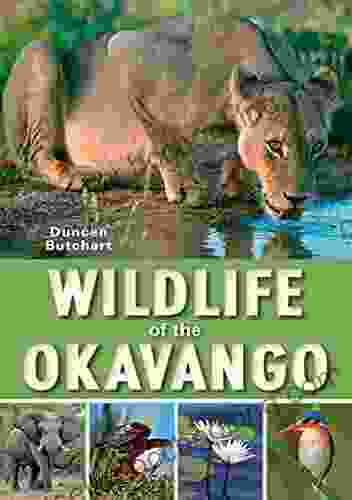 Wildlife Of The Okavango Duncan Butchart