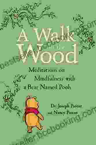 A Walk In The Wood: Meditations On Mindfulness With A Bear Named Pooh