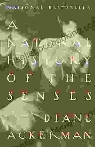 A Natural History Of The Senses